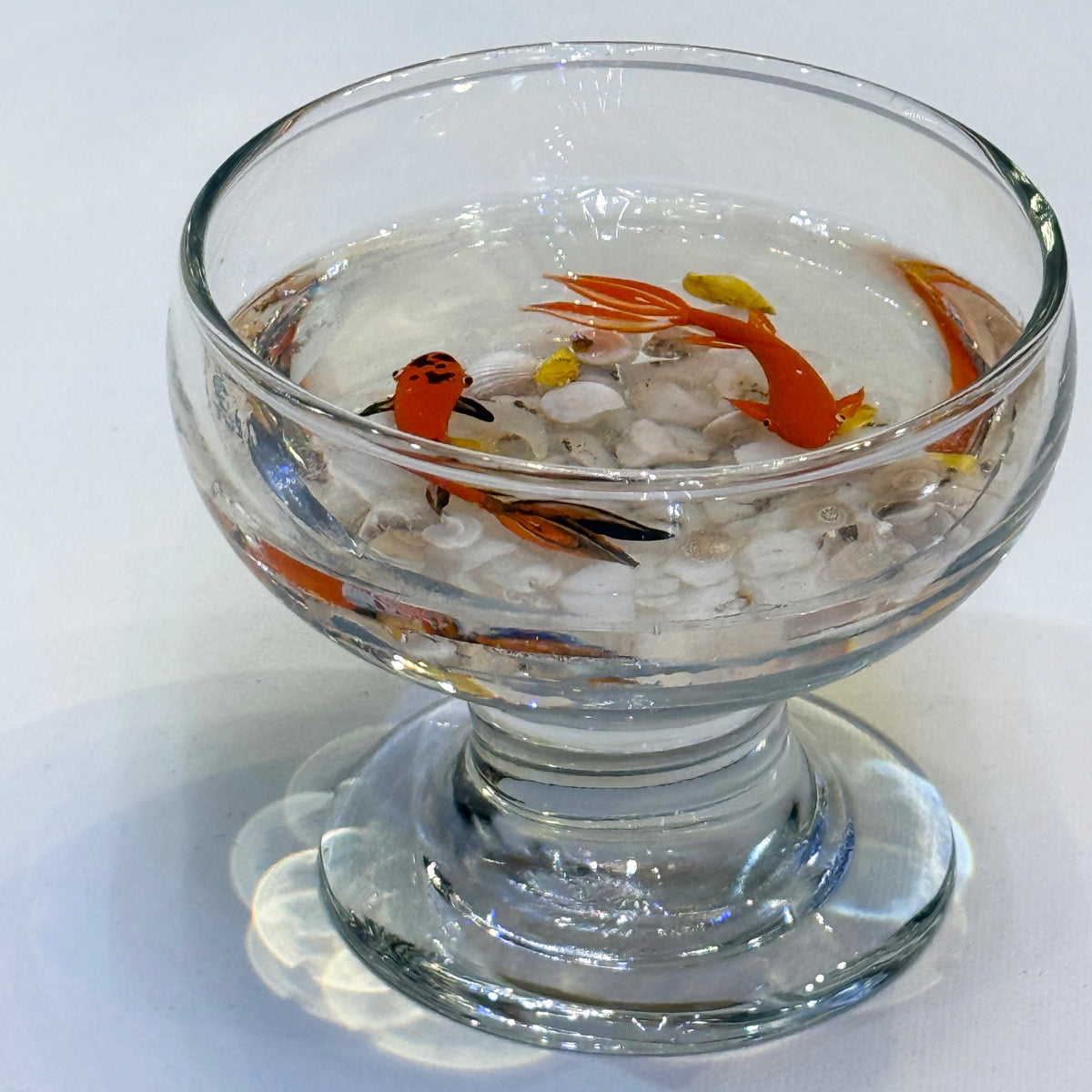 Fish Bowl