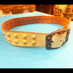 Vintage Ivory Genuine Leather Unisex Belt